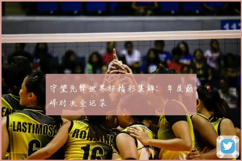 守望先锋世界杯精彩集锦：年度巅峰对决全记录