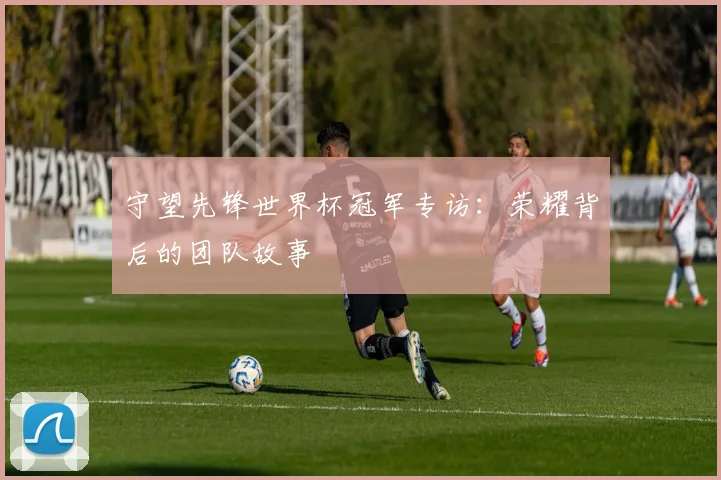 守望先锋世界杯冠军专访：荣耀背后的团队故事