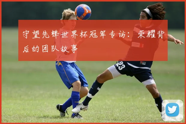 守望先锋世界杯冠军专访：荣耀背后的团队故事
