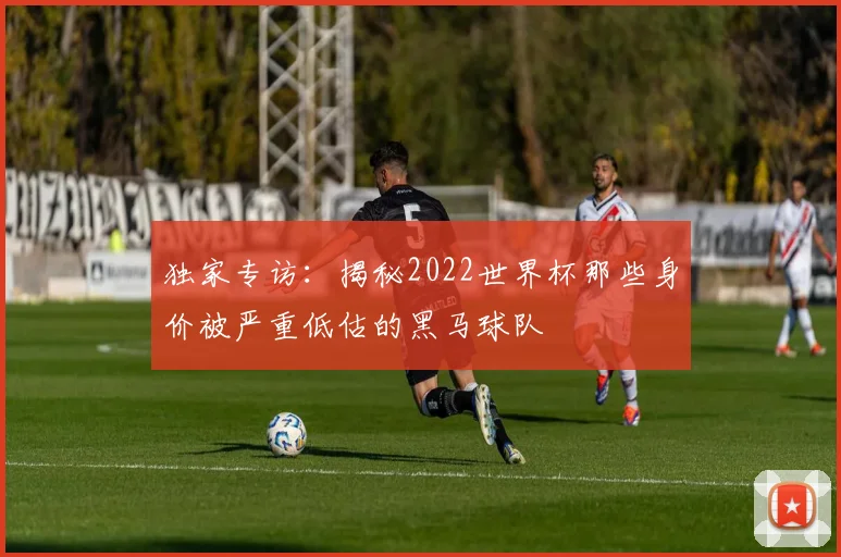 独家专访:揭秘2022世界杯那些身价被严重低估的黑马球队