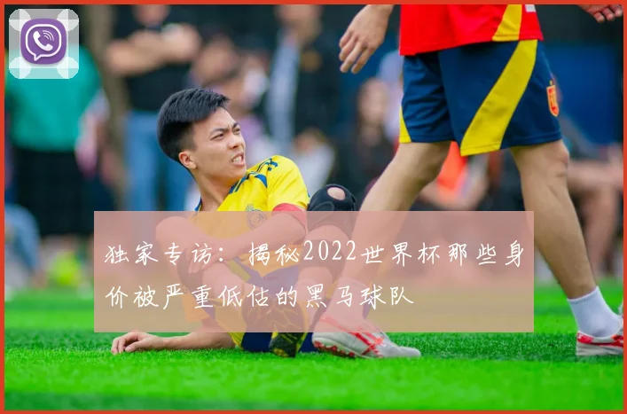 独家专访:揭秘2022世界杯那些身价被严重低估的黑马球队