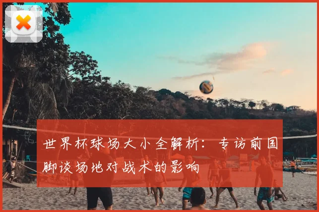 世界杯球场大小全解析:专访前国脚谈场地对战术的影响