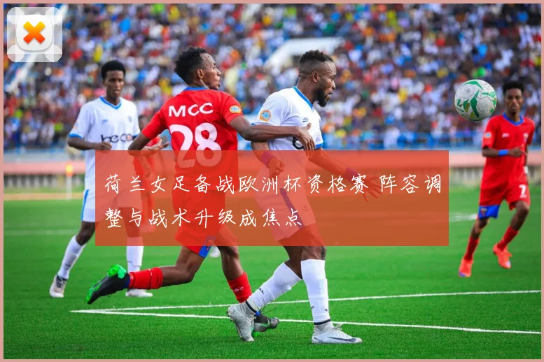 荷兰女足备战欧洲杯资格赛 阵容调整与战术升级成焦点